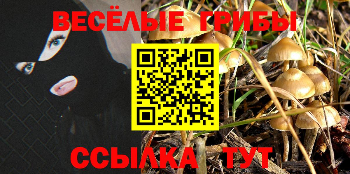 Галлюциногенные грибы ЛСД Оренбург